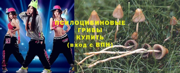 mix Абаза