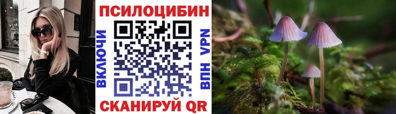 Галлюциногенные грибы Psilocybine cubensis  Зеленогорск 