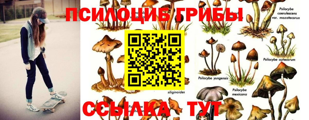 даркнет сайт  Галлюциногенные грибы Magic Shrooms  Вход с VPN  Зеленогорск 